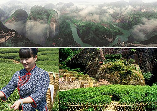 Top Organic Handmade Da Hong Pao Chinese Oolong Tea 200g