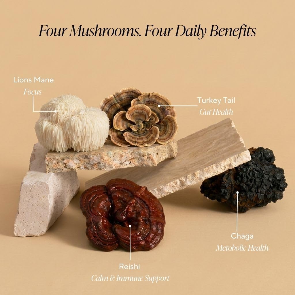 OM MUSHROOM SUPERFOOD Hot Chocolate Blend