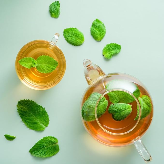 ONDAMGO White Peppermint Tea 30T Warm Tea 1.05oz / 페퍼민트차