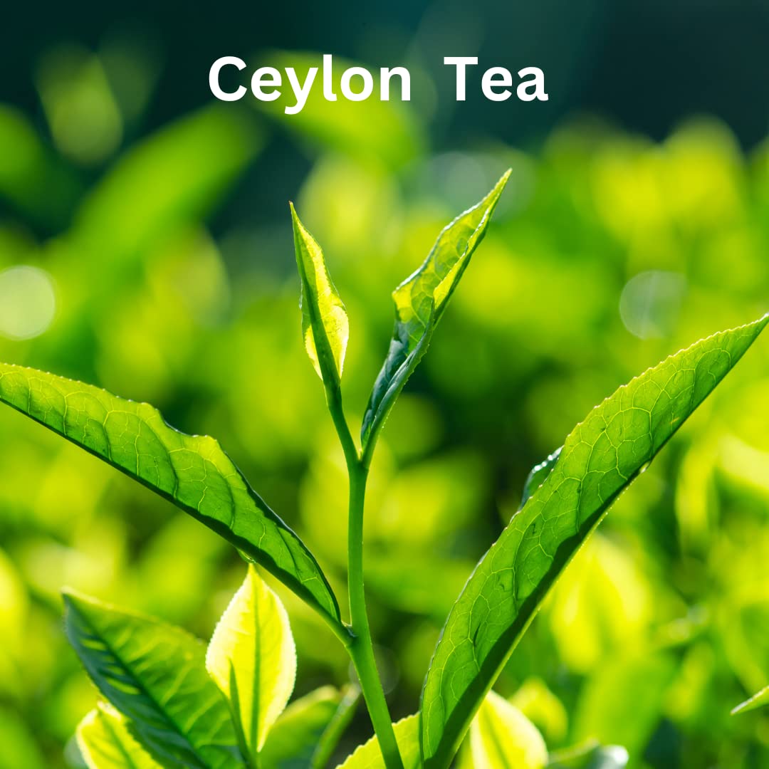 English Breakfast Tea | BOPF grade |100% Pure & Natural| Single Origin Premium Loose-Leaf Ceylon Black Tea, 14.1 oz