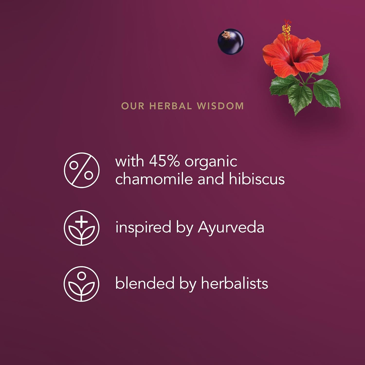 Pukka Organic Night Time Berry Herbal Tea with Chamomile, Echinacea, and Elderberry, Caffeine Free, 20 Total Tea Bags