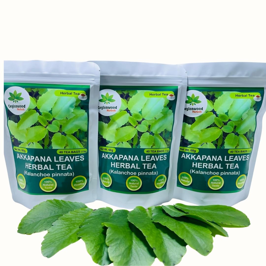 Ceylonwood Herbals Organic Kalanchoe pinnata Leaves Tea, miracle leaf air plants Bryophyllum Pinnatum Herbal Tea, 40 Tea