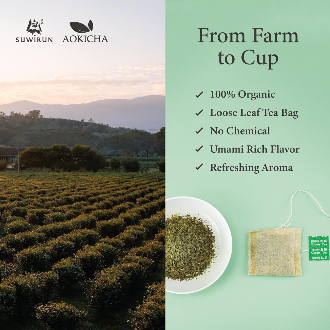 Suwirun Aoki Cha Organic Yabukita Japanese Green Tea 50 Bags – Smooth, Umami-Rich & Refreshing – Eco-Friendly, Unbleached Tea Bags for Hot & Cold Brew