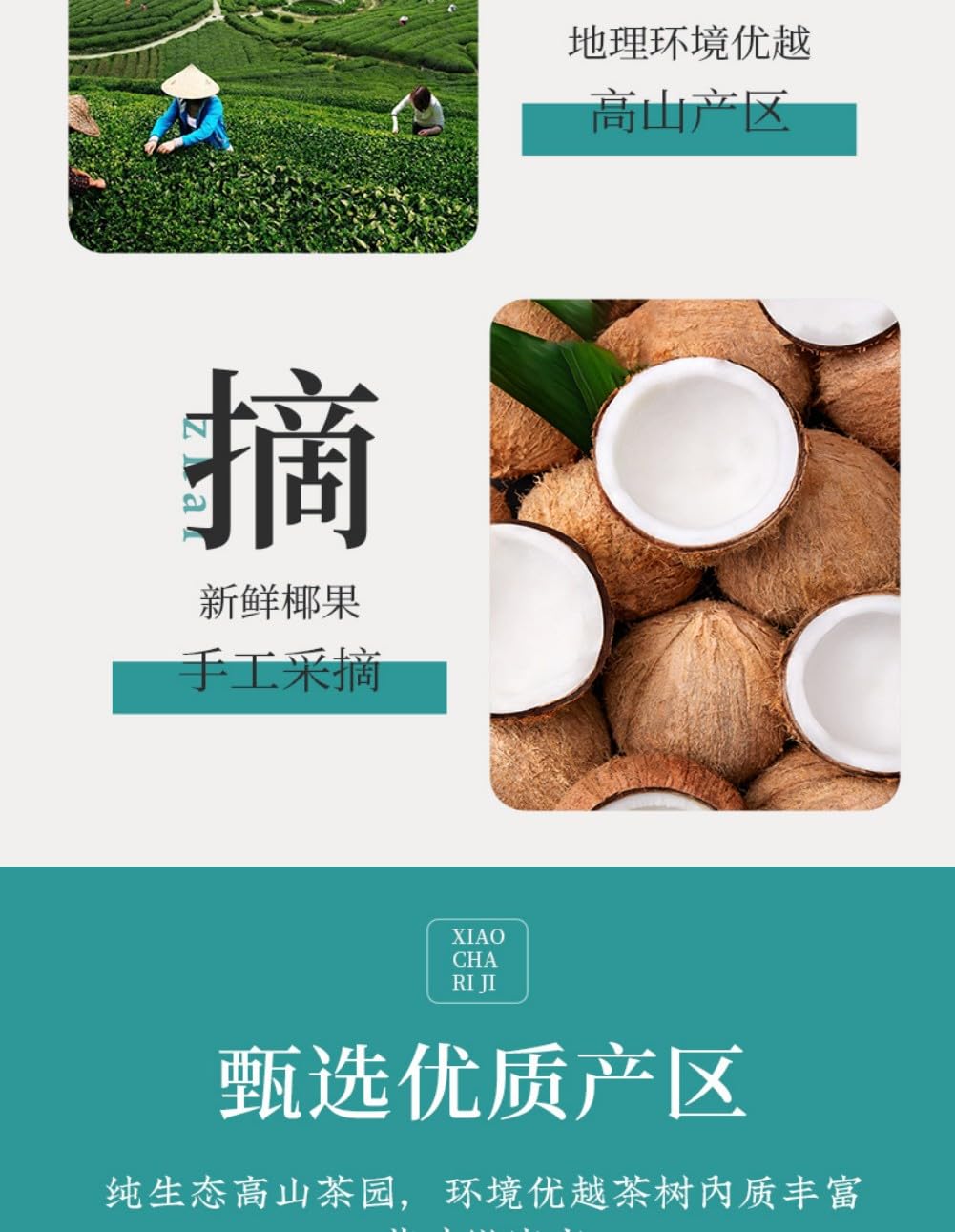 椰子乌龙正宗安溪铁观音 Chinese Tieguanyin Oolong Tea 调味茶高山 Natural Loose Leaf Tea,Chinese Tea, Sulfur Free 【挂耳袋椰子乌龙】1袋250g Flower tea,dark tea,loose tea