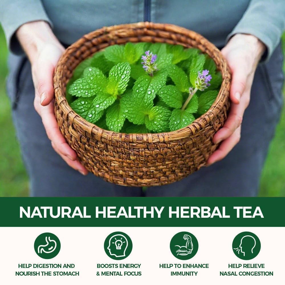 WOTIHA 80 Count Premium Spearmint Tea Bags - 100% Pure Natural Spearmint Leaves, High in Antioxidants, Supports Digestion, Caffeine-Free, Additive-Free, Sugar-Free, Vegan Non-GMO.