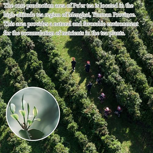 Shengmingxi Puerh Tea Cake Ripe Pu-erh Tea Pu erh Tea Cake Aged Fermented Pu erh Tea Large-leaf Variety 普洱茶 茶饼 普洱熟茶 12.6oz/357g