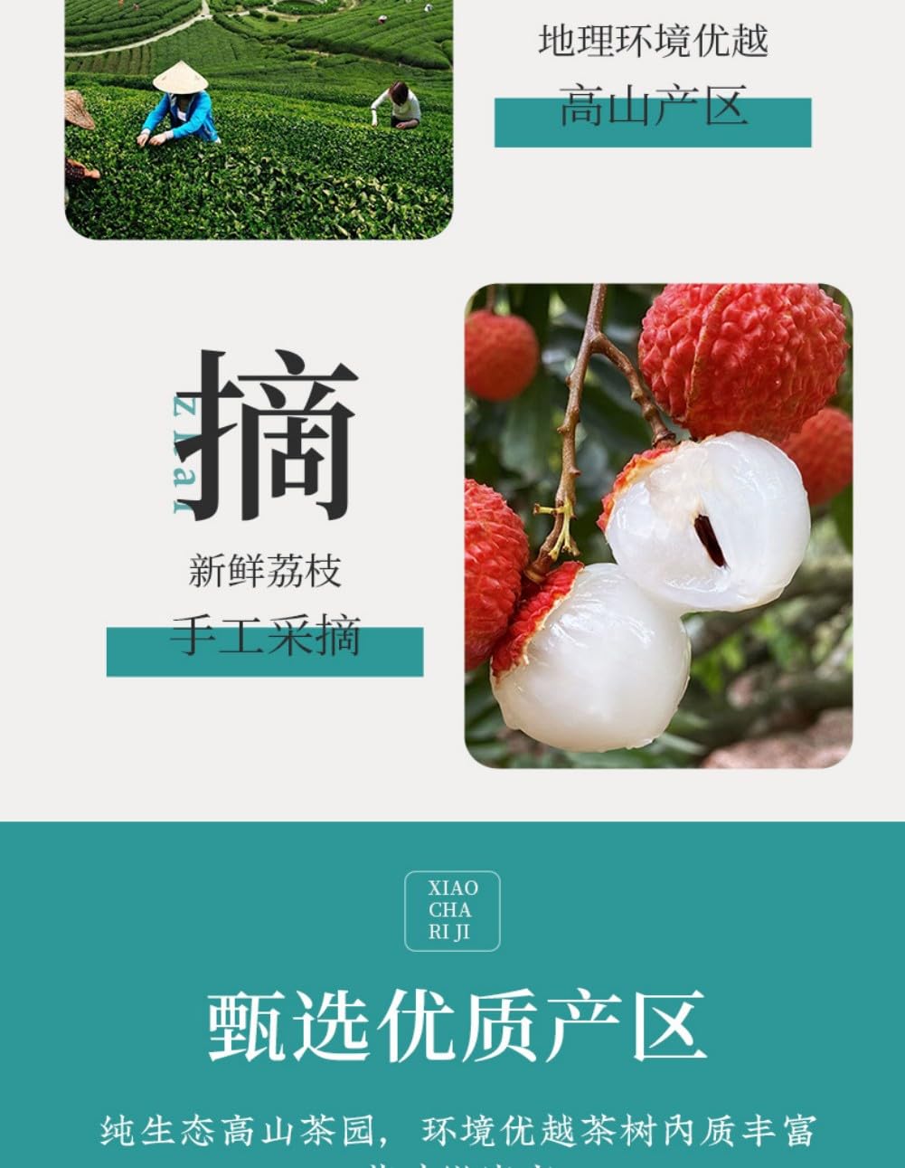 荔枝乌龙正宗安溪铁观音 Chinese Tieguanyin Oolong Tea 荔枝果肉干 Natural Loose Leaf Tea,Chinese Tea, Sulfur Free 【白色挂耳袋荔枝乌龙】1袋250g Flower tea,dark tea,loose tea