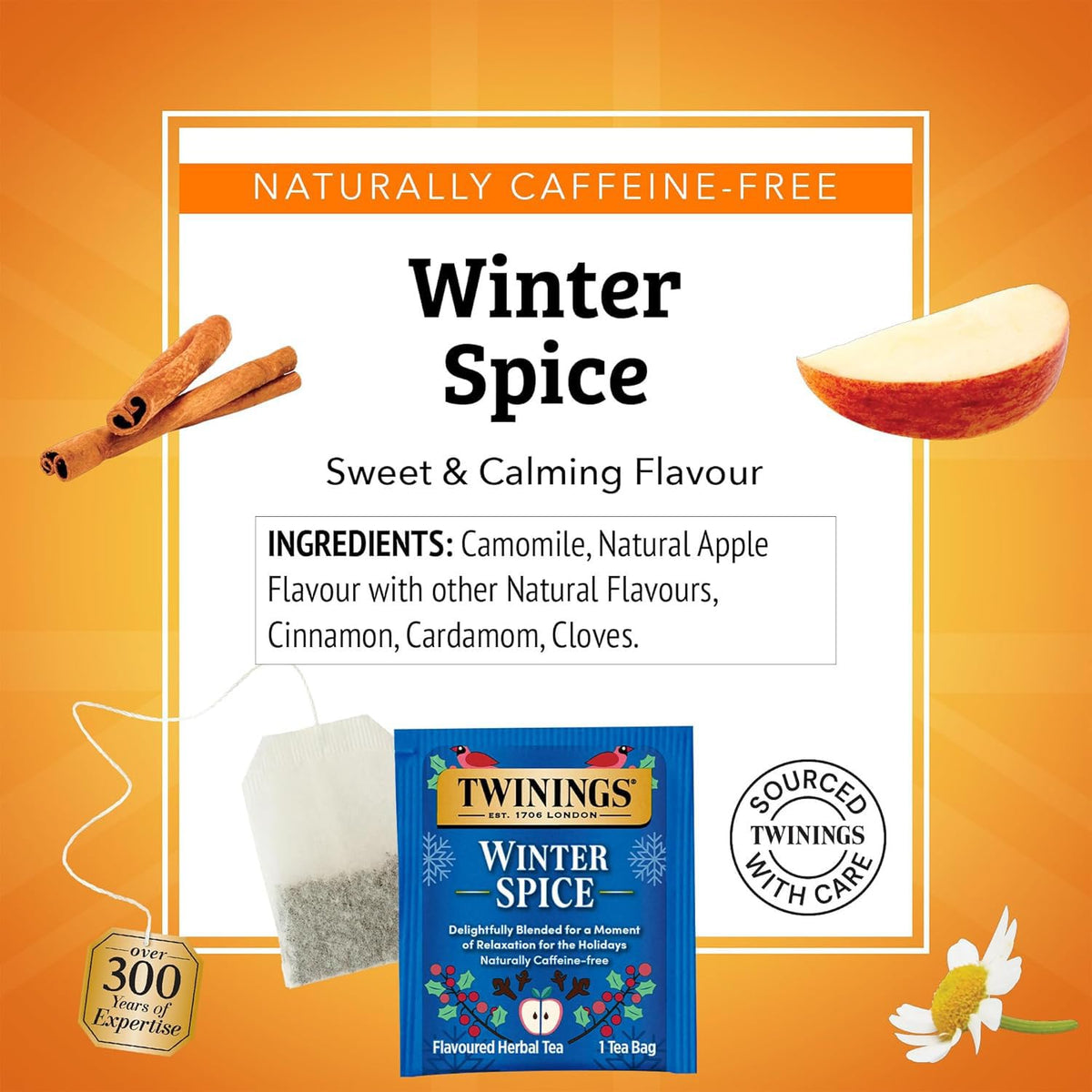 Twinings Winter Spice Herbal Tea 2-Pack, 20 Count Ea