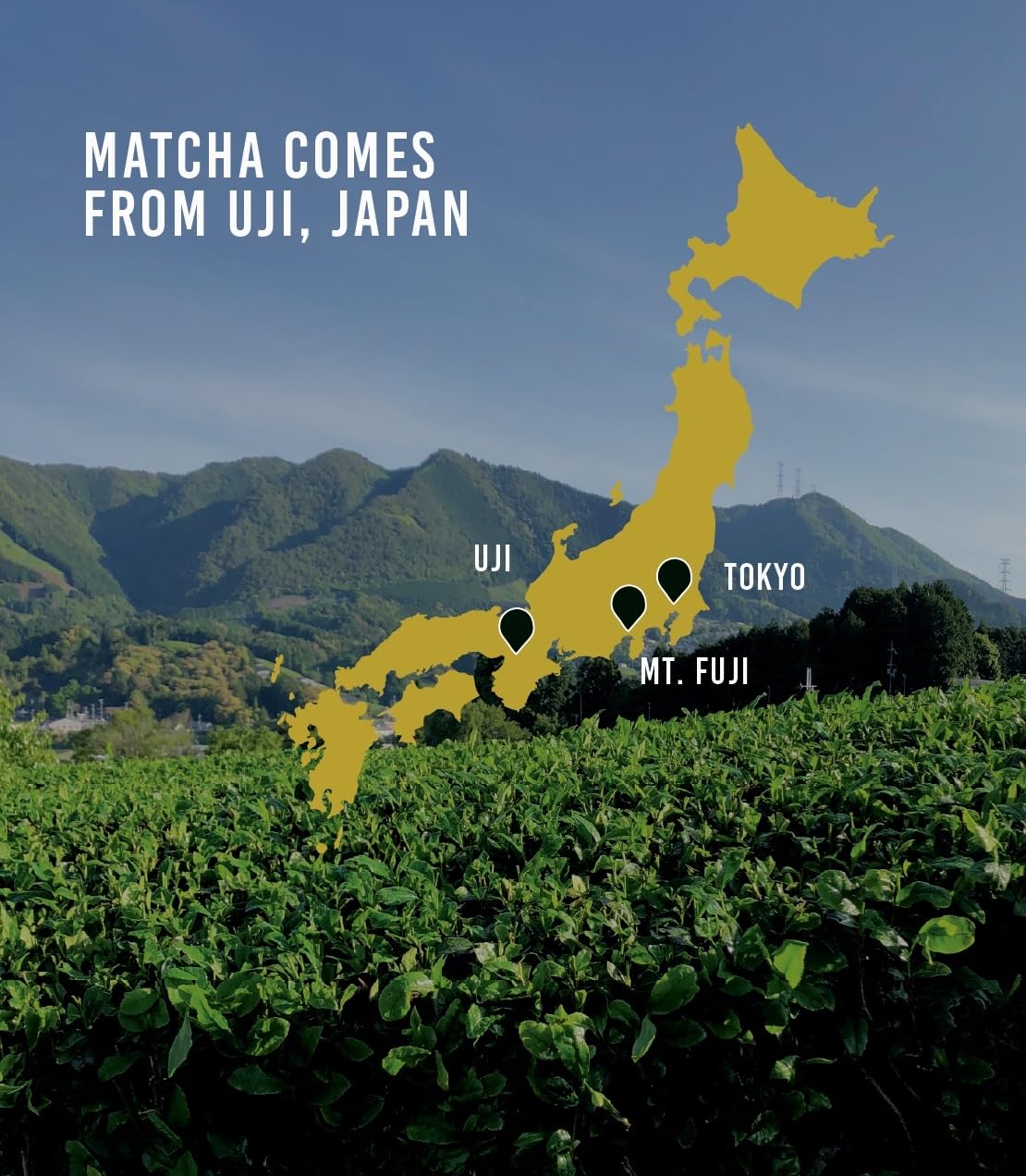 Harney &amp; Sons Supreme Matcha Powdered Green Tea, 80g Tin | An approachable Uji matcha for lattes, iced, or a first bowl