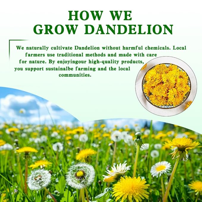 ZenVitality Dandelion Leaf and Root Tea（50 Bags）100% Certified Organic/Decaffeinated Naturally beneficial for liver/blood pressure/blood sugar/digestive health Decaffeinated