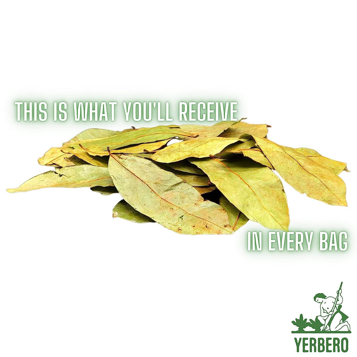 Yerbero - Whole Dried Graviola Soursop Leaves (4 oz - 330+ Leaves Per Bag) Hoja De Guanabana, 100% All Natural Delicious