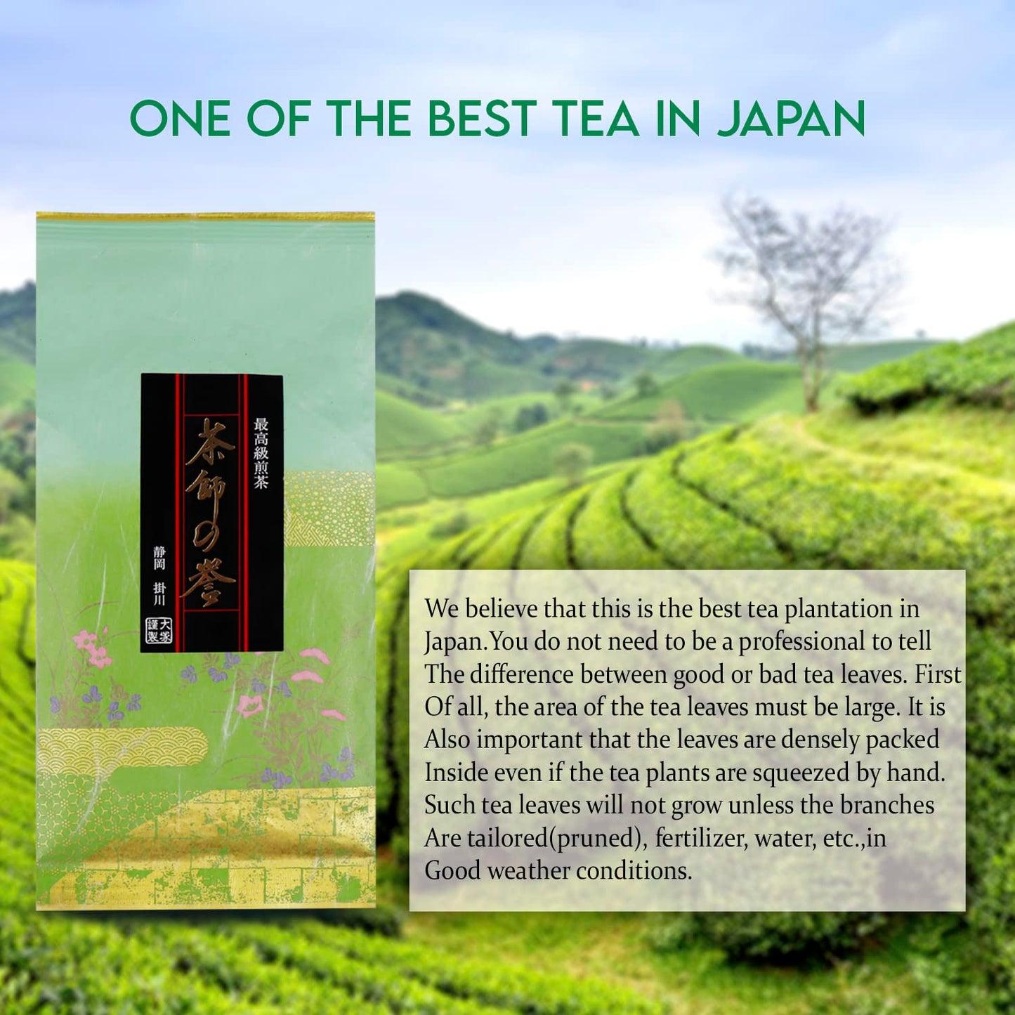 Otsuka Green Tea Co - Premium Sencha – High-Grade Japanese Green Tea from Shizuoka (100g Loose Leaf)