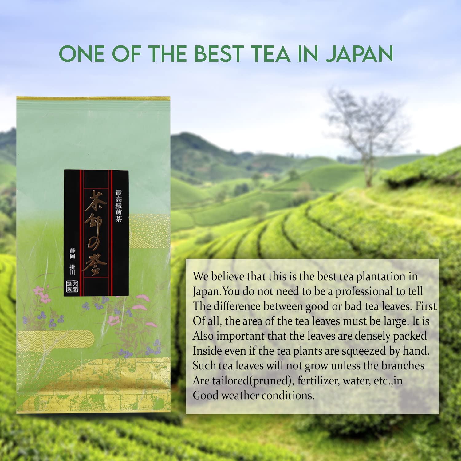 Otsuka Green Tea Co - Premium Sencha – High-Grade Japanese Green Tea from Shizuoka (100g Loose Leaf)