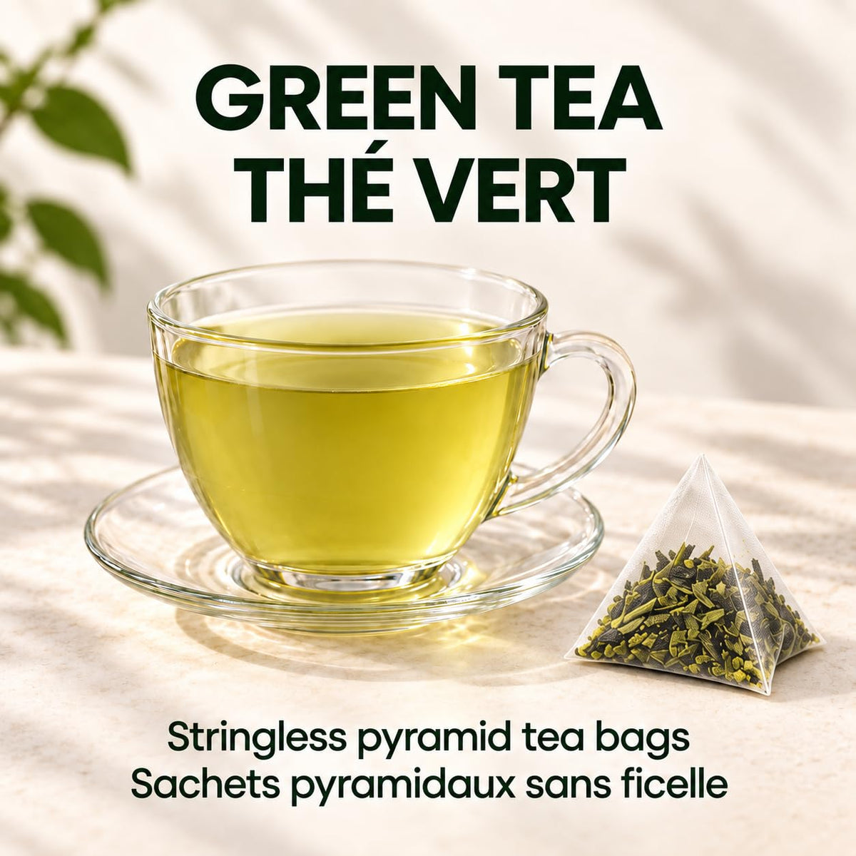 Tozzy Organic Green Tea – 100 Count, Plant-Based Pyramid Tea Bags