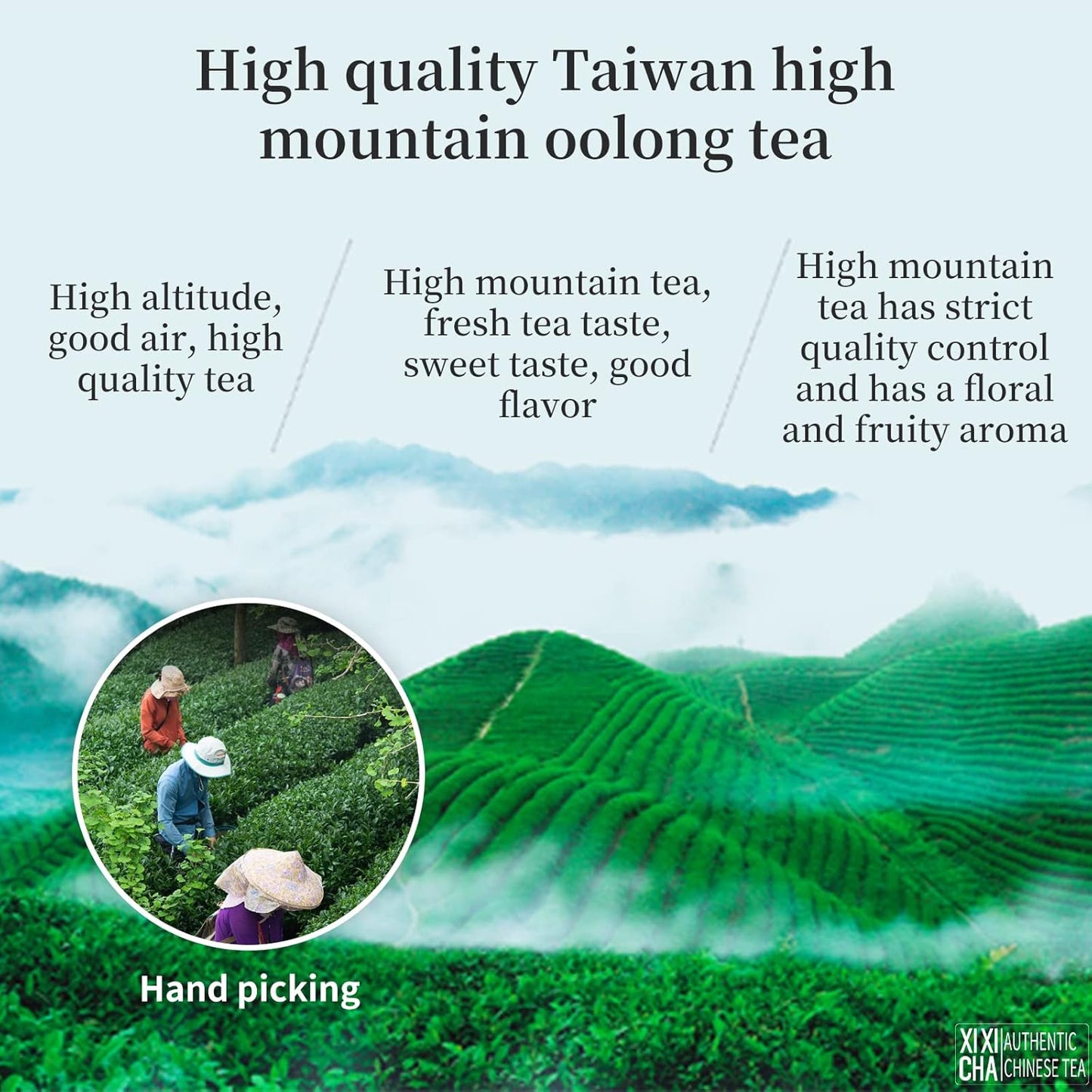 XIXICHA Dayuling Oolong Tea Taiwan High Mountain Tea Oolong Tea Loose Leaf Premium Formosa Floral Scent 大禹岭 台湾茶 台湾高山茶 乌龙茶 （120 cups）5.29oz/150g
