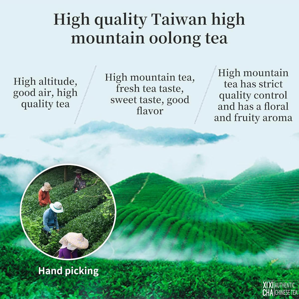 XIXICHA Dayuling Oolong Tea Taiwan High Mountain Tea Oolong Tea Loose Leaf Premium Formosa Floral Scent 大禹岭 台湾茶 台湾高山茶 乌龙茶 （120 cups）5.29oz/150g