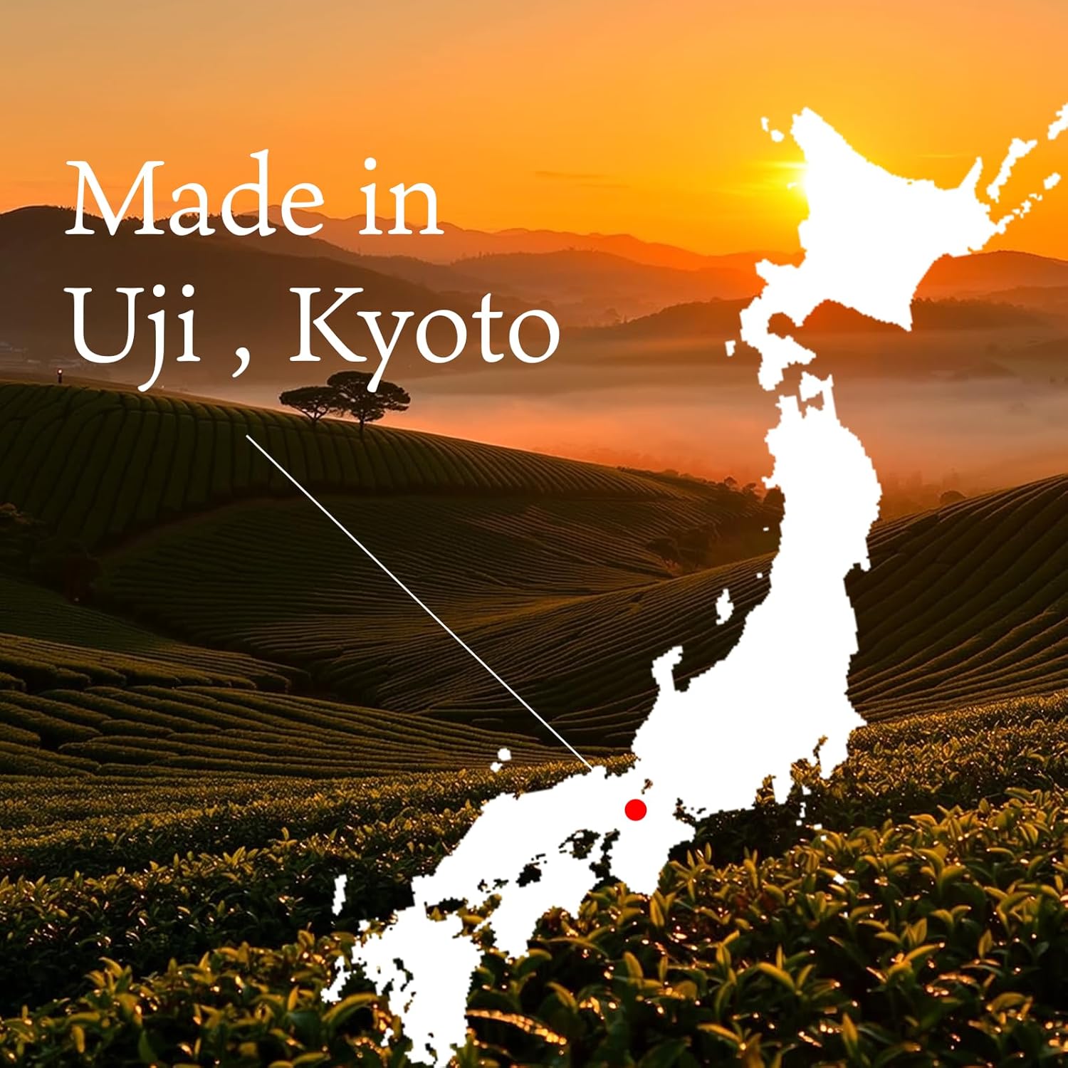 SHIZUGOKORO Authentic Japanese Ceremonial Grade Matcha Green Tea Powder – Uji Kyoto Japan – Made in Japan – 30g (1.06oz)