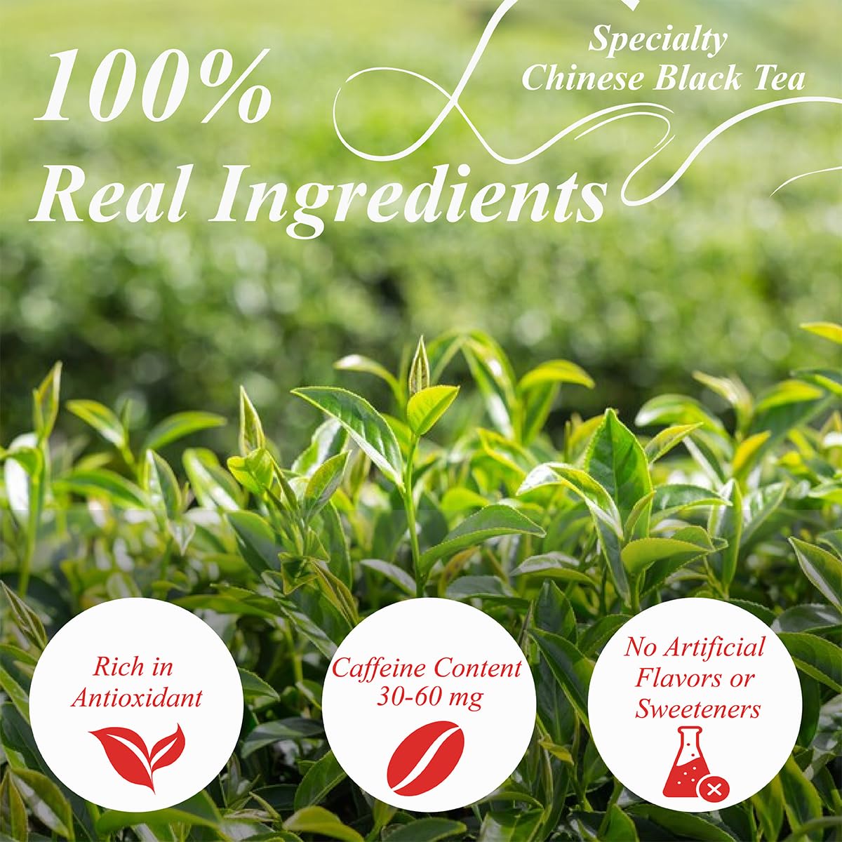 WT WEETEE Lapsang Souchong Tea Bags, 100 Count Smoky Black Tea, Natural Caffeine & Antioxidant, Classic Specialty Chinese Tea, Resealable Kraft Bag | Brew Hot or Iced