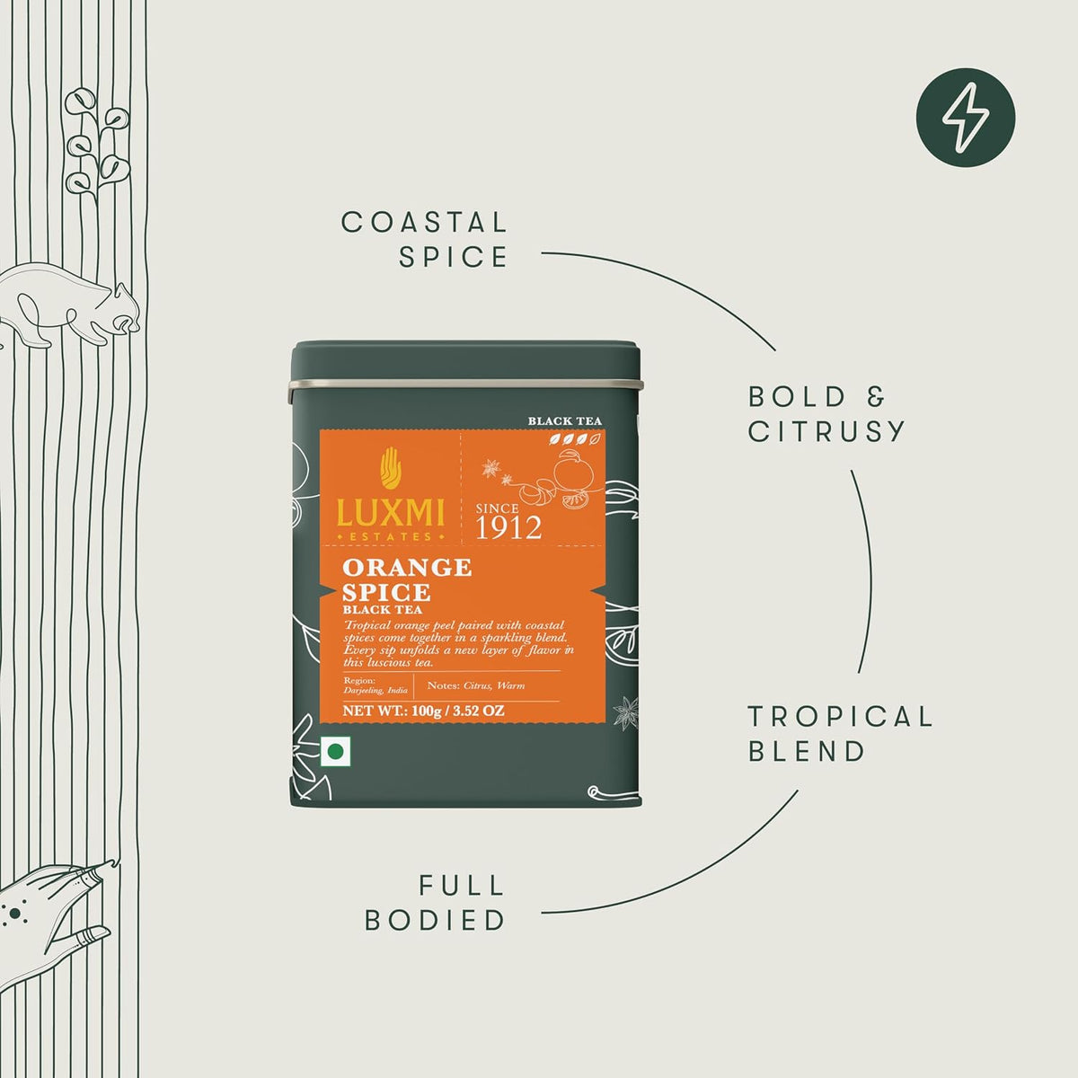Luxmi Estates - Orange Spice - Black Darjeeling Tea - Loose Leaf - 100g (50 cups) | Special Edition Autumn Tea | Smooth