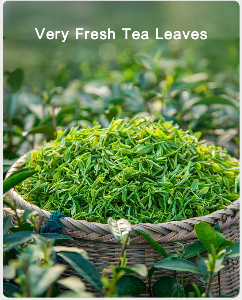 Dragonwell Longjing Tea(Yu Qian),Fresh Dragon Well Green Tea Leaf Picked before Grain Rain Day,4th Class as Economy Option,250g/8.8 oz.,雨前龙井