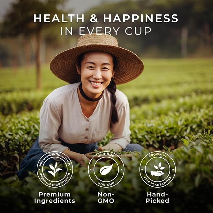 Gya Tea Co Evening Calm Tea Pod Collection Gift Set (24 Count) - Different Flavors Assorted Variety Pack