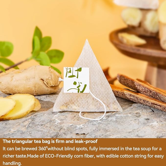 BEICAI 240g/120-Count Premium Turmeric Ginger Cinnamon Tea Bags | 100% Natural, Triangular Corn Fiber for Full-Bodied Brew | Supports Digestive & Immune Health (120)