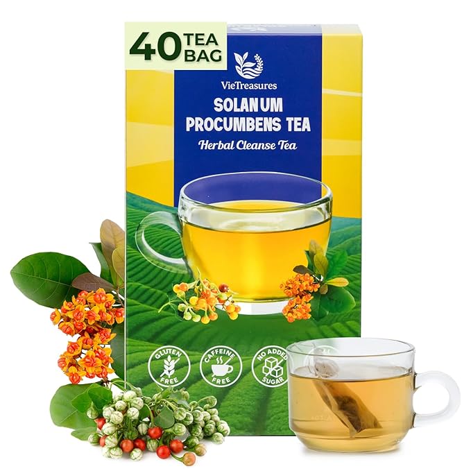 VieTreasures Solanum Procumbens Leaf Tea - 2.8oz (40 Tea Bags) | With Celastrus and Stevia Blend | Caffeine-free, Gluten-free, Sugar-free Herbal Cleanse Tea for Relax, Energy & Inner Health Support
