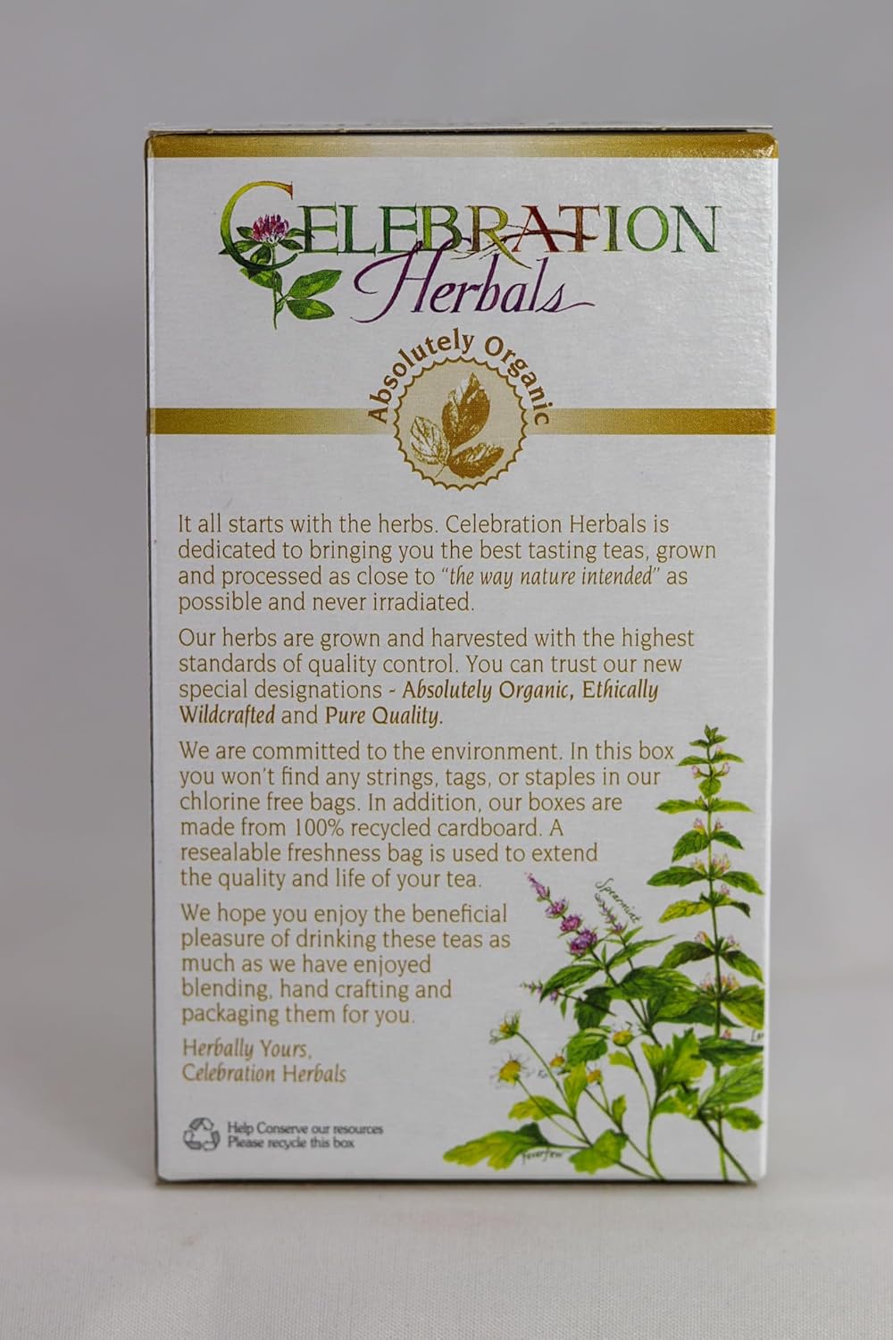 Celebration HERBALS Echinacea ANG Herb Tea Organic 24 Bag, 0.02 Pound