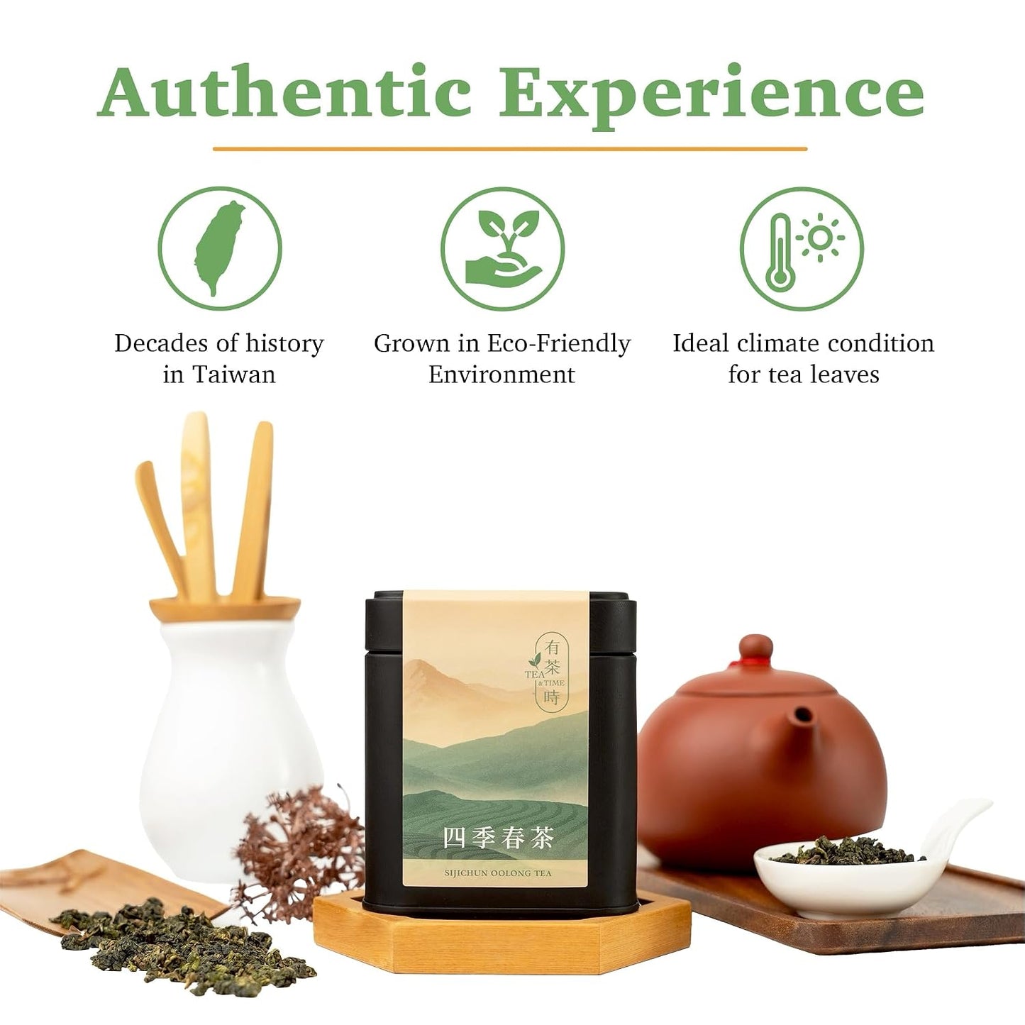 TEA &amp; TIME Oolong Tea Loose Leaf – Four Seasons Spring Oolong (Sijichun), Premium Taiwanese Oolong Tea, Fragrant Chinese Tea Leaves, Fresh Aroma, (100g / 3.5oz)