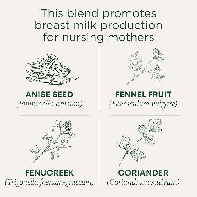 Traditional Medicinals Organic Mother's Milk Women's Tea - 48 Tea Bags