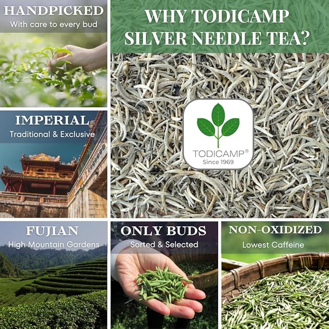 TODICAMP Premium Silver Needle Tea - 1 lb of Premium White Tea Loose Leaf