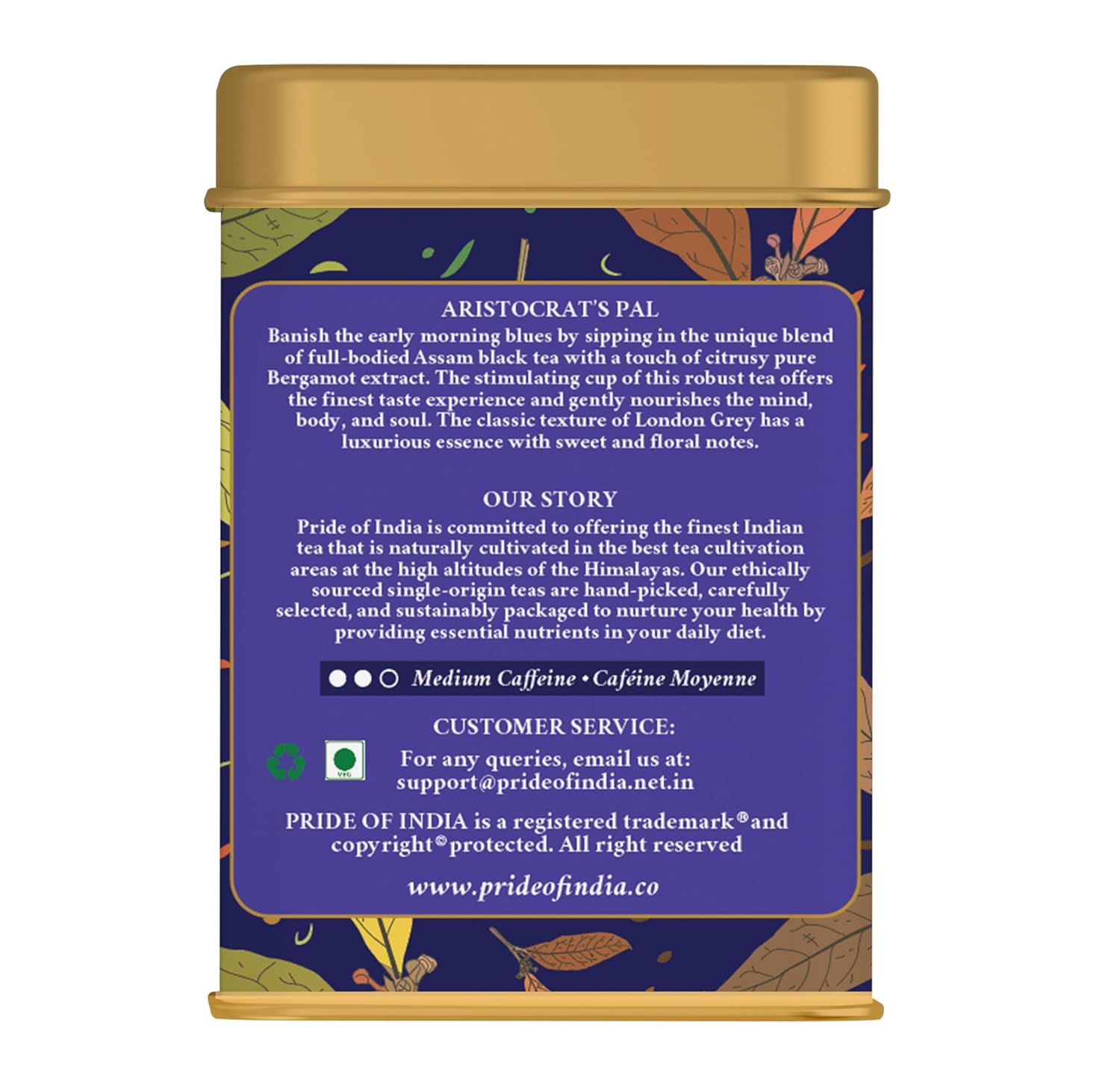 Pride of India | PACK of 2 - Earl Grey Bergamot Black Tea | 15 Pyramid Full Leaf Individually Wrapped Tea Bags | Full-Bodied, Citrusy Flavor | Single Estate Certified Tea | High Caffeine