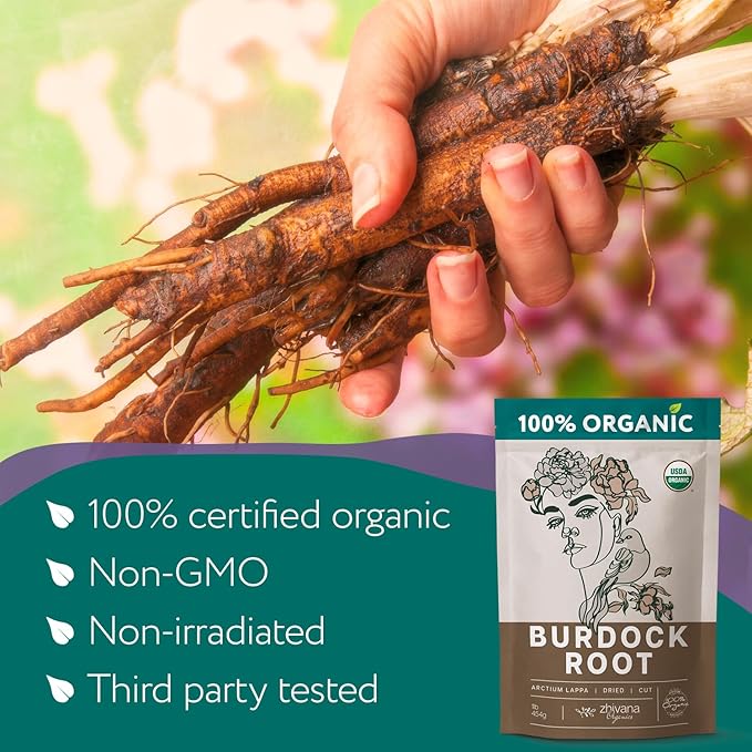 Super Value Pack 10 LB - Organic Burdock Root Tea - Greater Burdock Root Herb