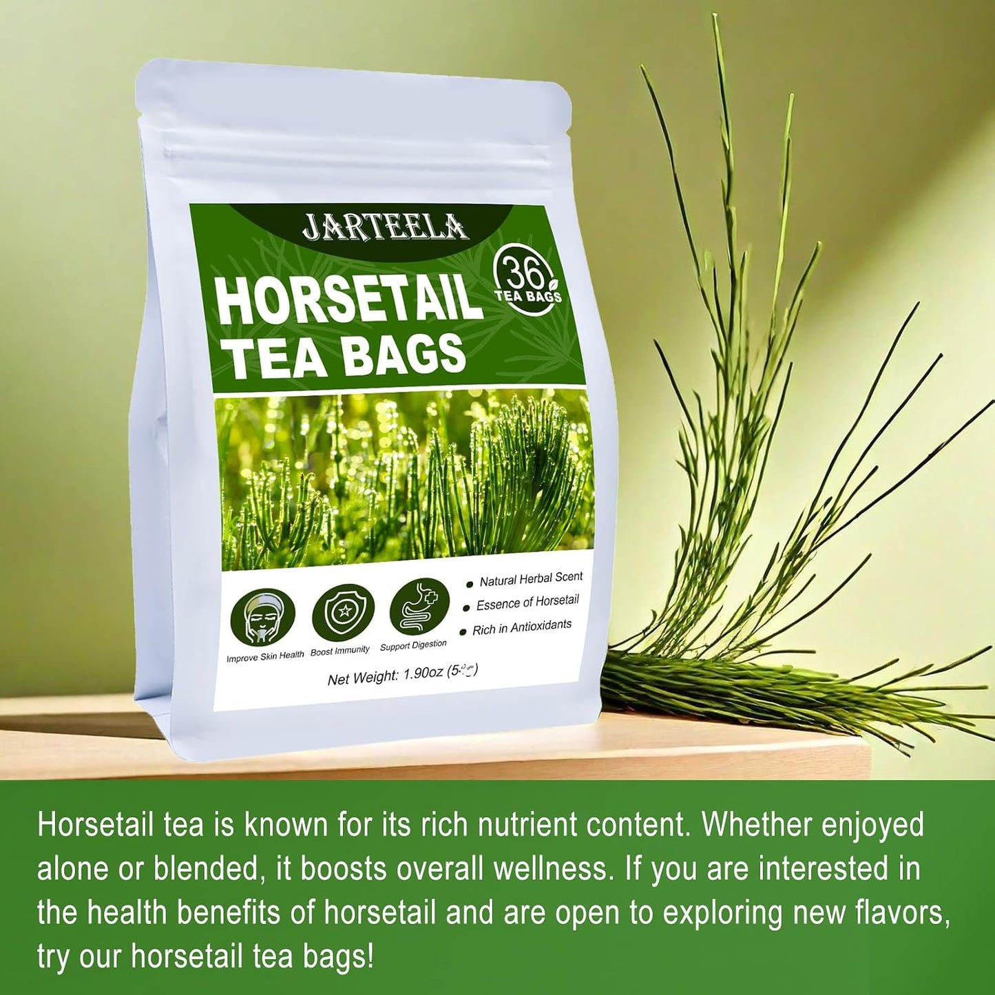 Jarteela - Horsetail Tea Bag, 36 Ct, Dried Horsetail Herbs, Cola De Caballo