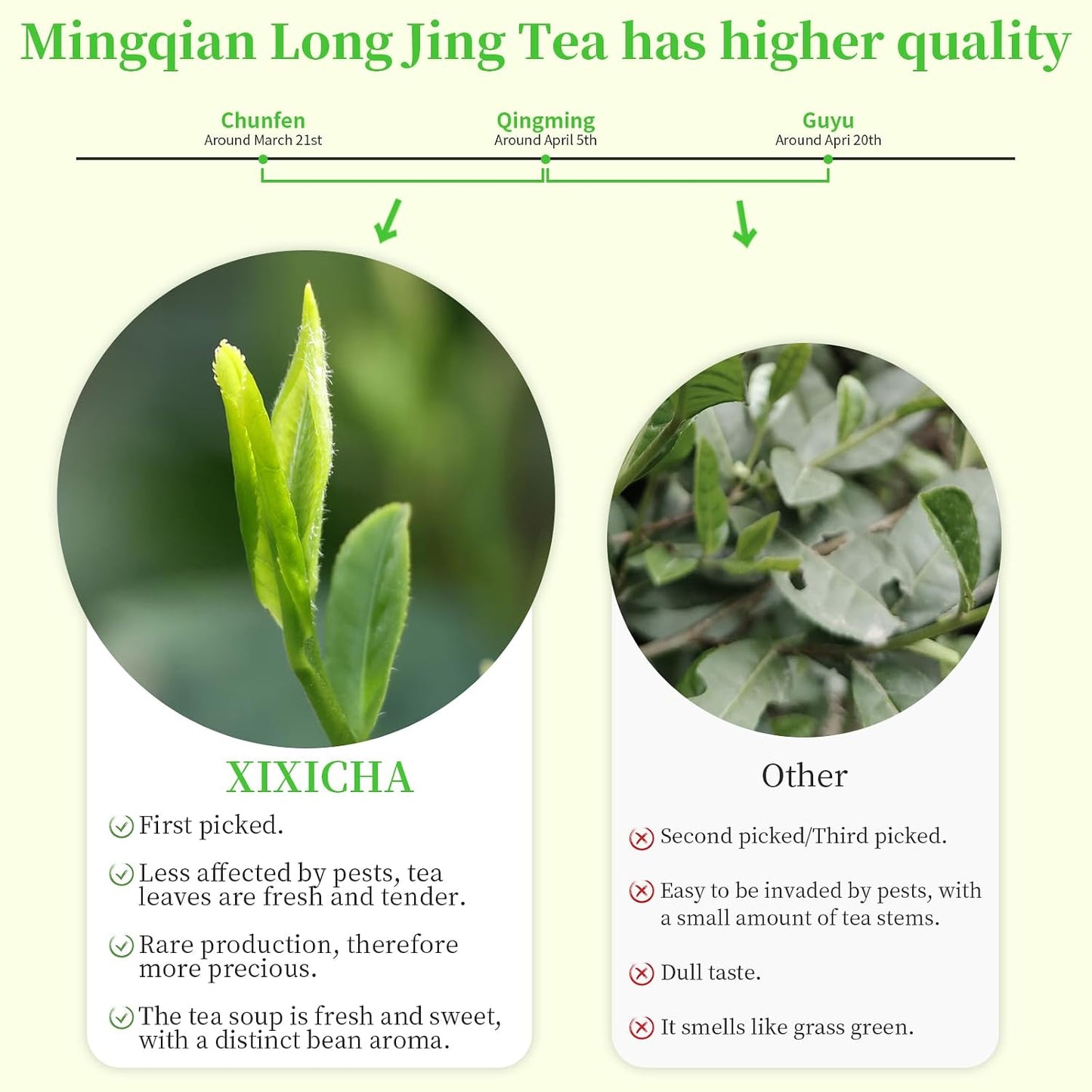 XIXICHA Longjing Green Tea Loose Leaf New Longjing Tea Dragon Well Dragonwell Tea Chinese Green Tea Lung Ching Premium Bean Aromatic All-natural and free of additives 4.23oz/120g（96 cups）龙井 绿茶 明前采摘