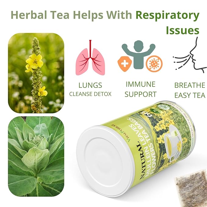 Mullein Tea Bags – 60 Count, Mullein Leaf Mullen Tea, VitalForest Herbal Mullins Mullien Tea, Caffeine-Free