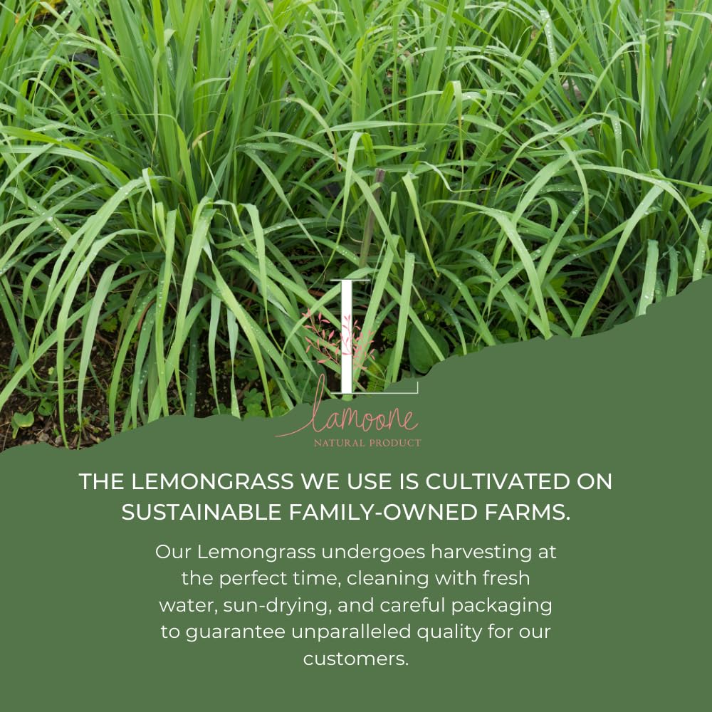 Lemongrass from Organic Thailand Farm, Premium Grade, 3.5 oz (100g), Lemon Grass for Tea, Drink And Food. Strong aroma and vibrant flavor.