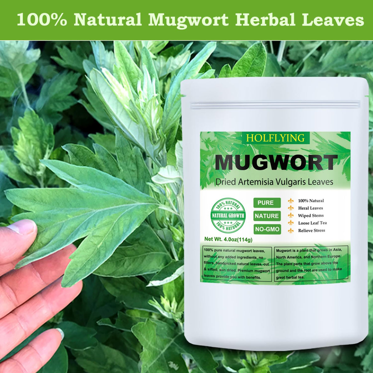 HOLFLYING Dried Mugwort Leaves, 4oz(114g), Natural Artemisia Vulgaris Herb Loose Leaves, 100% Natural Mugwort Tea, No Gmo
