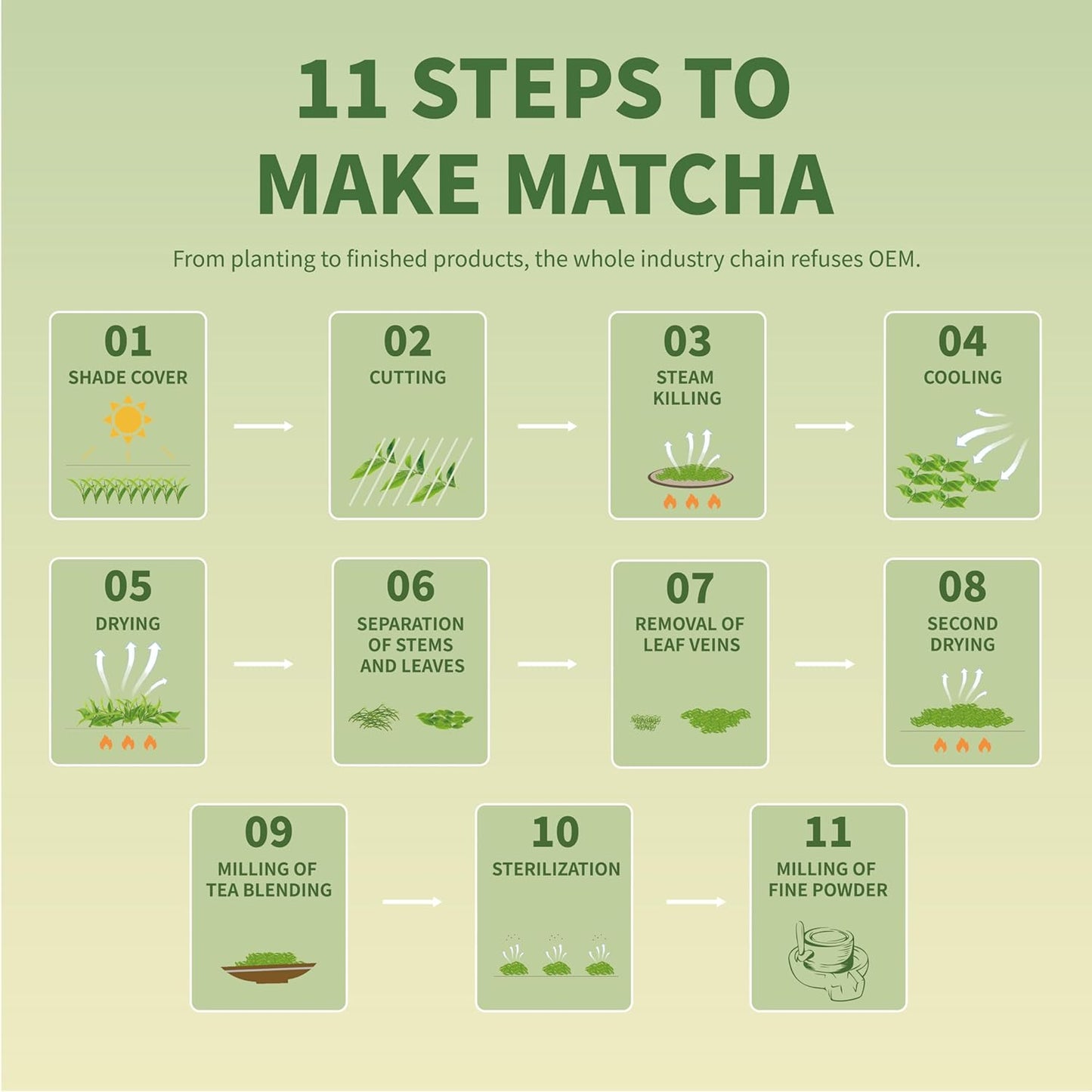 TIAN HU SHAN Organic Matcha Green Tea Powder 4.0oz/114g, Matcha Culinary Grade For Lattes, Cooking, Baking