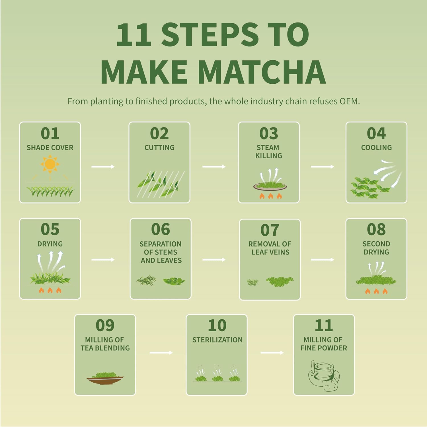 TIAN HU SHAN Organic Matcha Green Tea Powder 4.0oz/114g, Matcha Culinary Grade For Lattes, Cooking, Baking