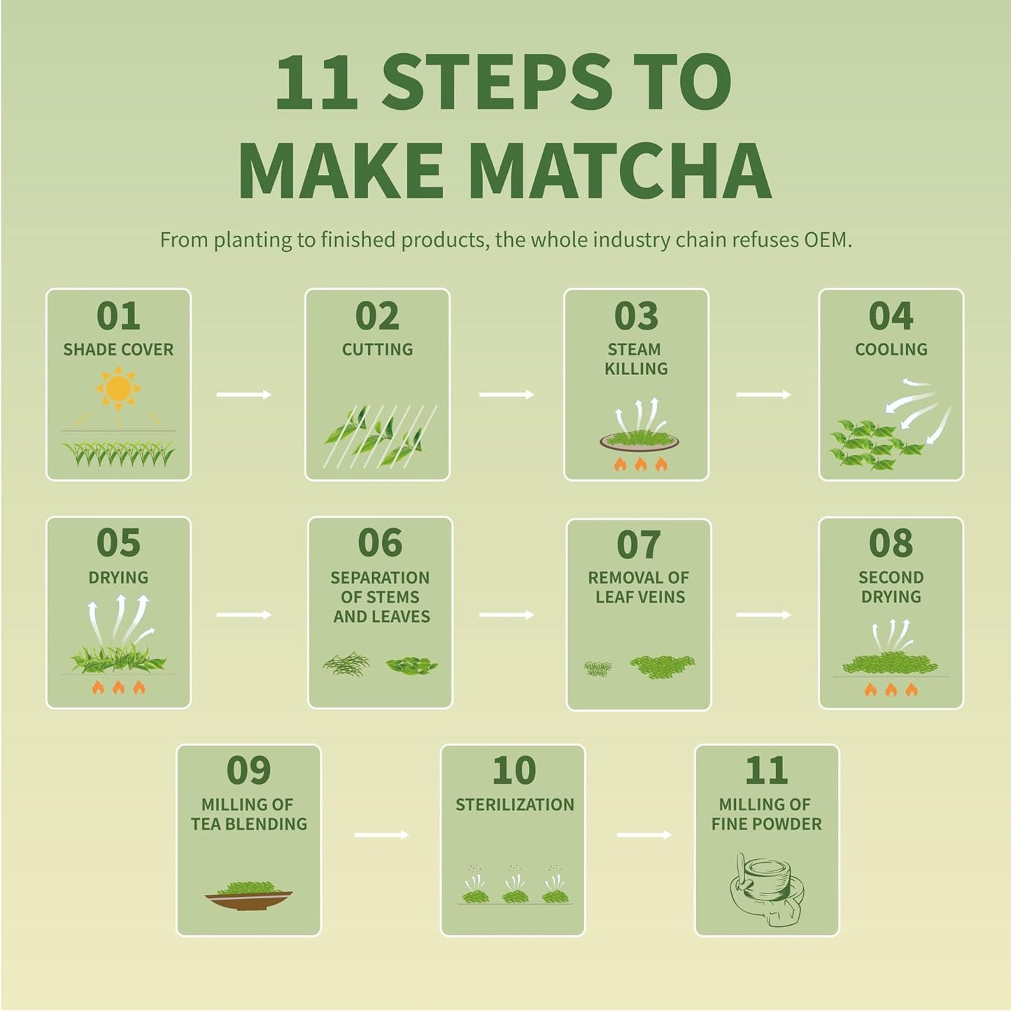 TIAN HU SHAN Organic Matcha Green Tea Powder 4oz for Latte Baking | Organic Matcha Powder