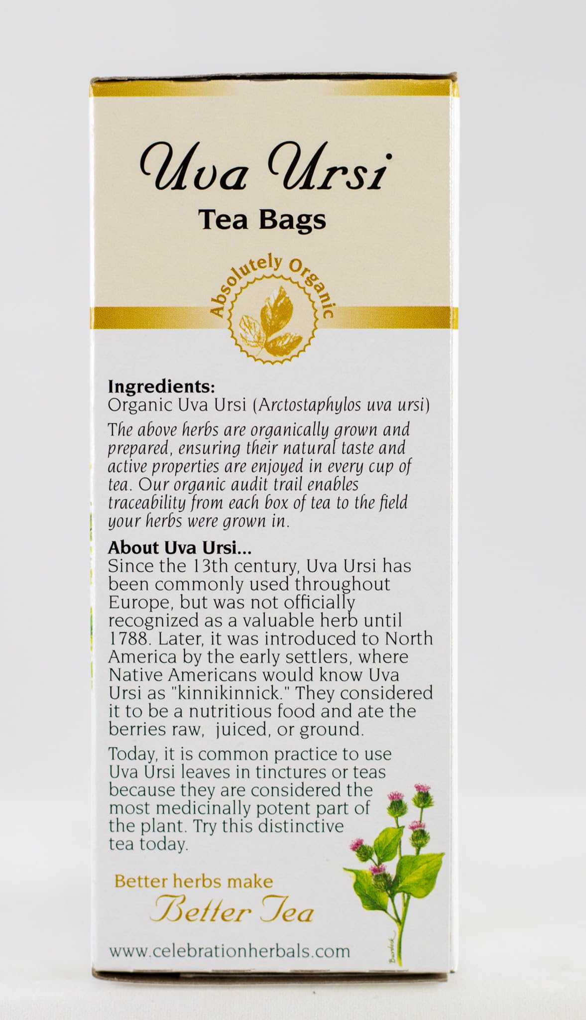 CELEBRATION HERBALS Uva Ursi Tea, 24 Bag, 0.02 Pound