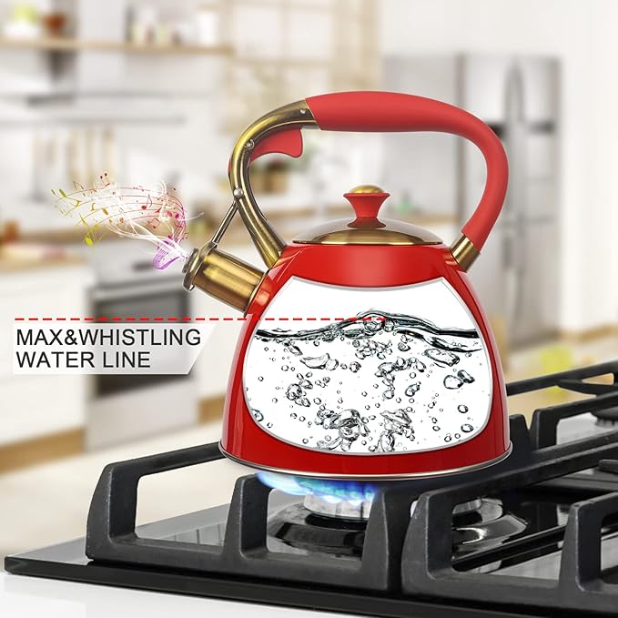Tea Kettle -2.9 Quart Tea Kettles Stovetop Whistling Teapot Stainless Steel Tea Pots for Stove Top Whistle Tea Pot