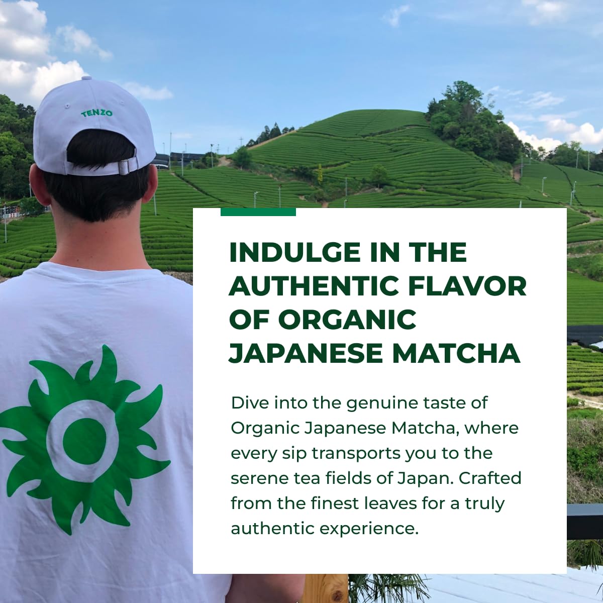 Tenzo Tea Matcha Green Powder, 1.06 Ounce, Organic, Original Blend, Ceremonial Grade, Authentic Japanese, USDA Certified