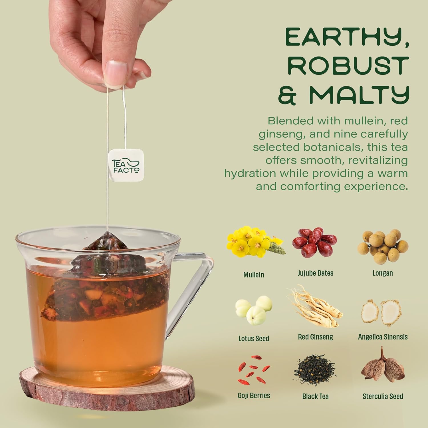 Tea Facto Lung Shield Mullein Lung Tea Bags – Whole Leaves Mullein Leaf Tea with 8 Herbs – 10 Packs