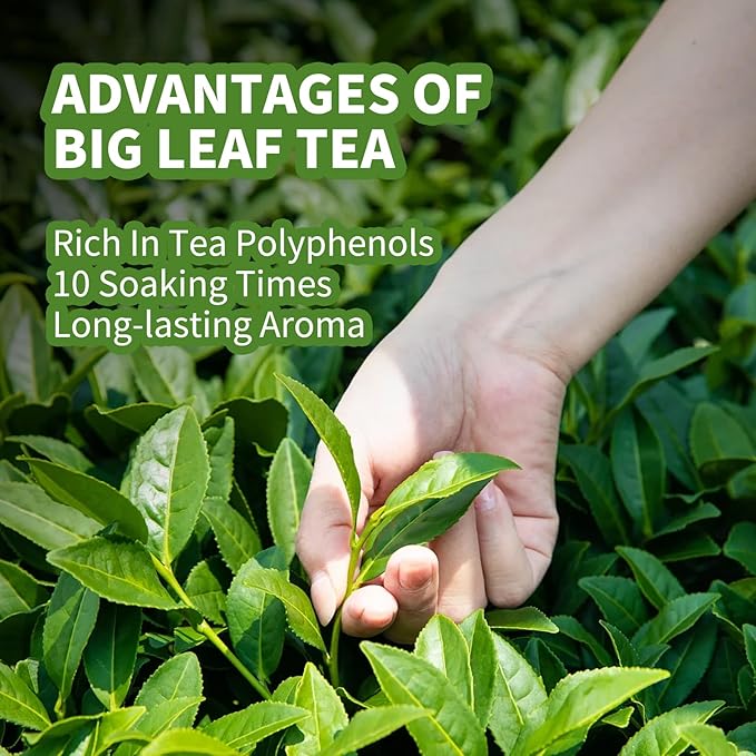KHS Organic Ripe Pu Erh Tea Brick, 4.5 Oz USDA Certified Organic Puerh Tea Cake, No Dust Production Workshop, Aged Fermented Pu erh Yunnan Ancient Tree Pu'erh Cake, Woody, Deep Earthy Flavor