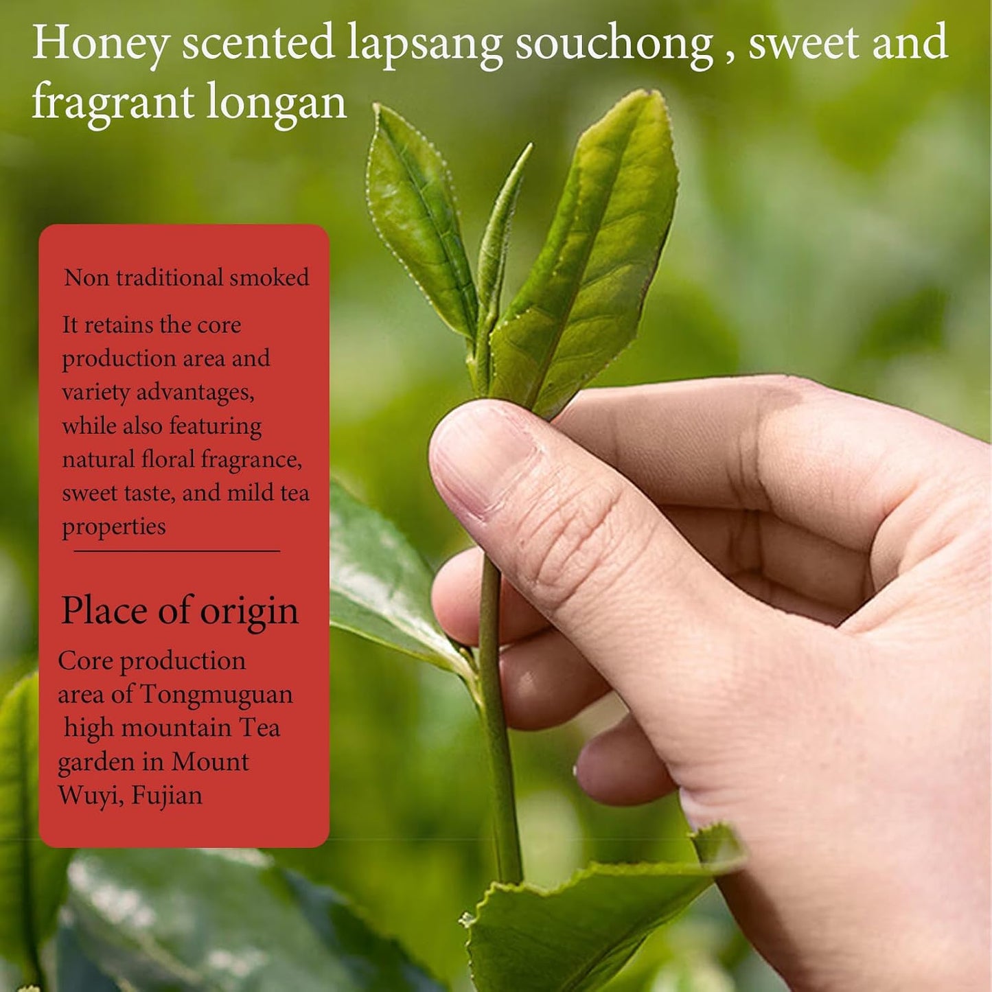 Lingyunxi Lapsang Souchong Tea Black Tea Loose Leaf Wuyi Mountain Chinese Tea|Non-Smoky Honey Floral Sweet Mellow Taste|No Bitter| Picked in Spring| Fully Fermented Tea 4.23oz/120g 正山小种 红茶 蜜香 非烟熏