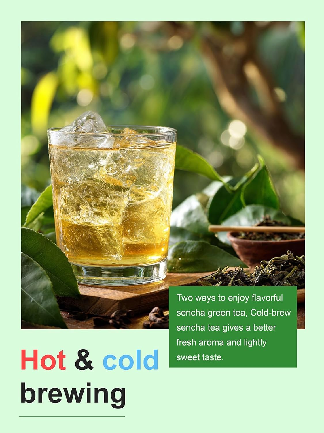 TeeLux Sencha Tea Bags, Premium Sencha Green Tea, Refreshing & Smooth Flavor, Iced & Hot Tea, 100 Count