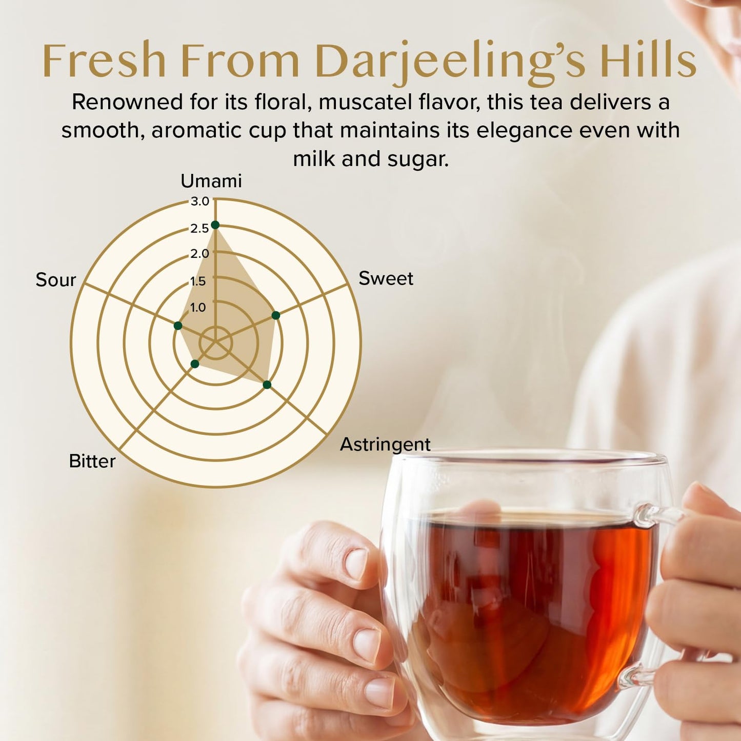 VAHDAM Darjeeling Tea Loose Leaf(12oz|170+ Cups) Quality Black Tea Leaves | Mature &amp; Robust Flavor | Caffeinated, Non GMO Gluten Free | Packed &amp; Shipped Direct From Source in India | Vacuum Sealed