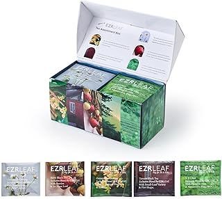 EZR Leaf Tea Sampler Gift Box– 22 Pyramid Tea Bags with Taiwan Black, Osmanthus Oolong, Chamomile Oolong, Berry Black, Four Seasons Green – Flavored Assorted Tea Set for Gifting & Tasting